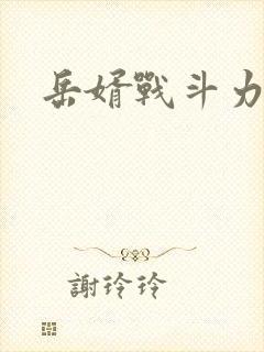 岳婿战斗力封面