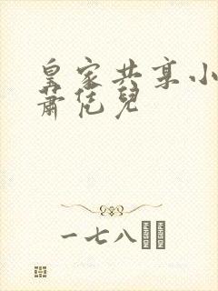 皇家共享小公主萧凭儿