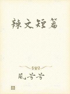 辣文短篇