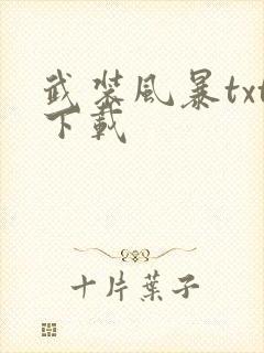 武装风暴txt下载