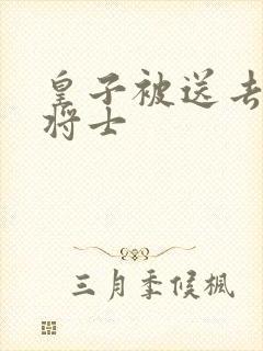 皇子被送去犒劳将士封面