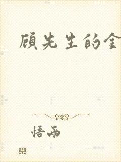 顾先生的金丝雀封面