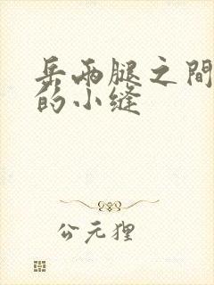 岳两腿之间白嫩的小缝封面