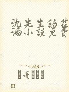 沈先生的花式调酒小说免费阅读