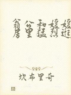 翁公和媛媛在厨房里猛烈进出