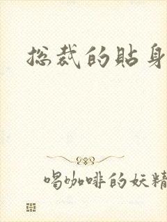 总裁的贴身女佣