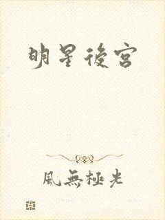 明星后宫