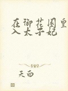 在御花园皇上进入太子妃封面