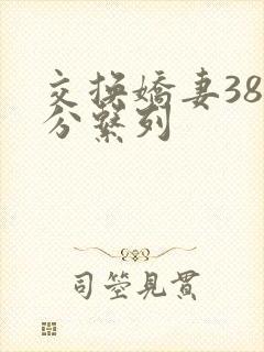 交换娇妻38部分系列