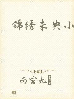 锦绣未央小说封面