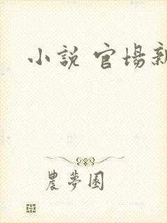 小说 官场新贵封面