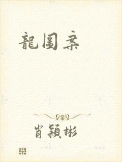 龙图案