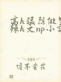高h猛烈做哭高辣h文np小说封面