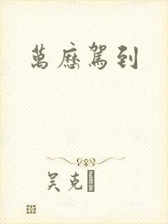 万历驾到封面