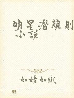 明星潜规则之皇 小说封面