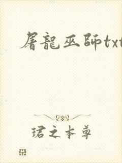 屠龙巫师txt
