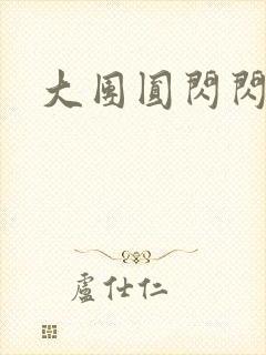 大团圆闪闪发光封面