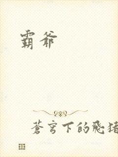 霸爷封面
