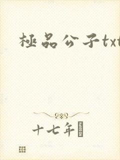 极品公子txt