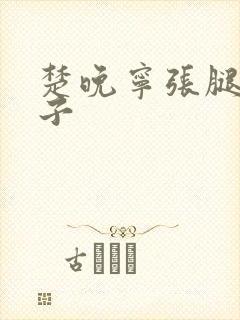 楚晚宁张腿放棋子封面