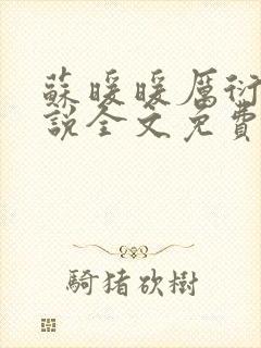苏暖暖厉衍琛小说全文免费阅读