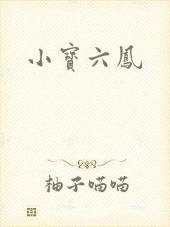 小宝六凤