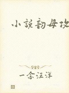 小说韵母攻略封面