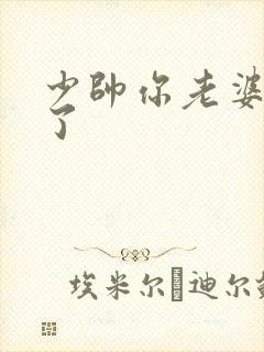 少帅你老婆又跑了