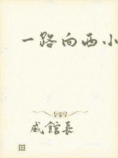一路向西小说
