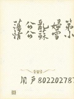 荡公乱妇第1章情公苏雪小说