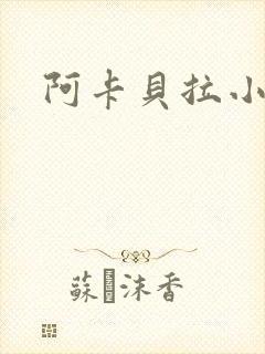 阿卡贝拉小说