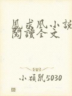 凤求凰小说免费阅读全文