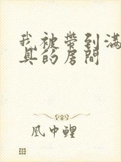 我被带到满是玩具的房间