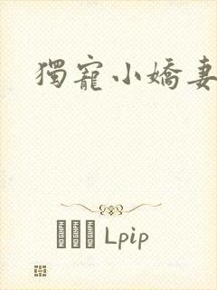 独宠小娇妻