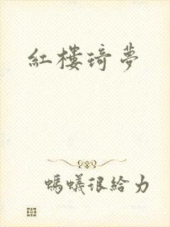 红楼琦梦