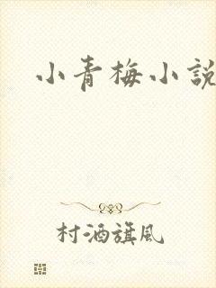 小青梅小说封面