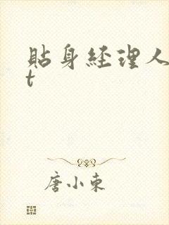 贴身经理人txt