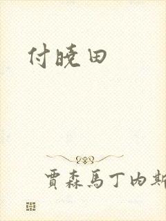 付晓田