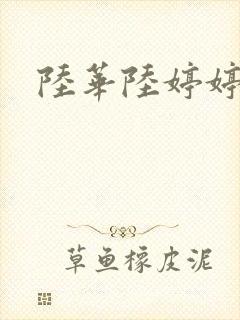 陆华陆婷婷