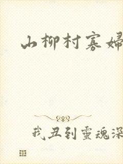 山柳村寡妇情史