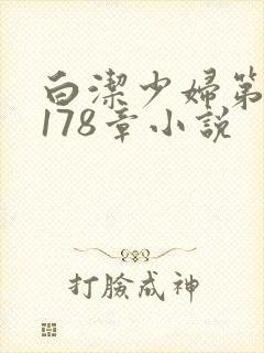 白洁少妇第1一178章小说封面