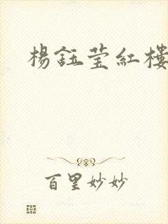 杨钰莹红楼封面