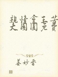 亲情会王芳高敏大团圆免费阅读封面