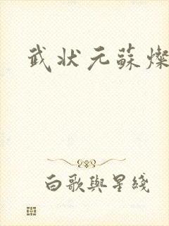 武状元苏灿