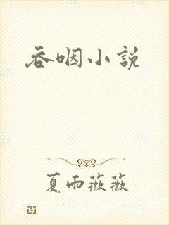 吞咽小说