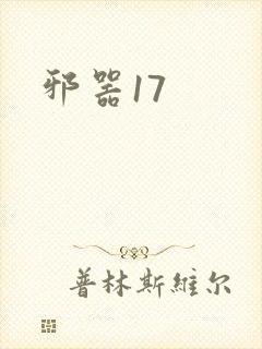 邪器17封面