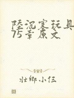 陆沉塞玩具高速75章原文