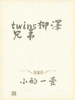 twins柳泽兄弟