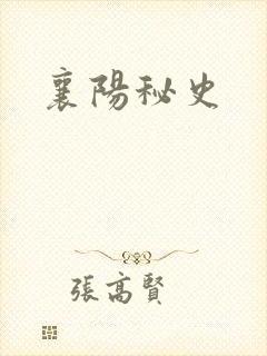 襄阳秘史