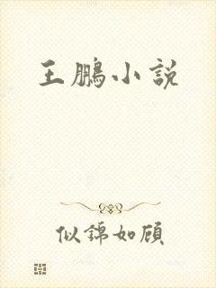 王鹏小说